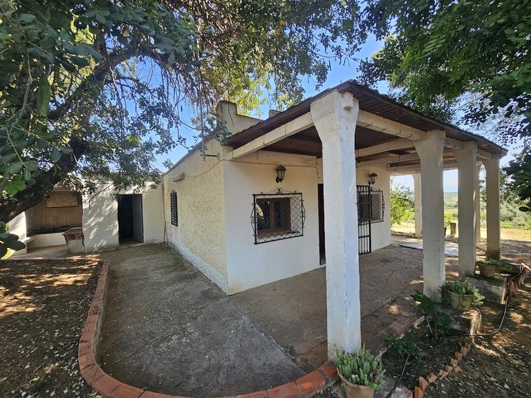 Country House for Sale in Inland, Canals, Valencia 2