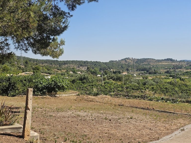 Country House for Sale in Inland, Canals, Valencia 44