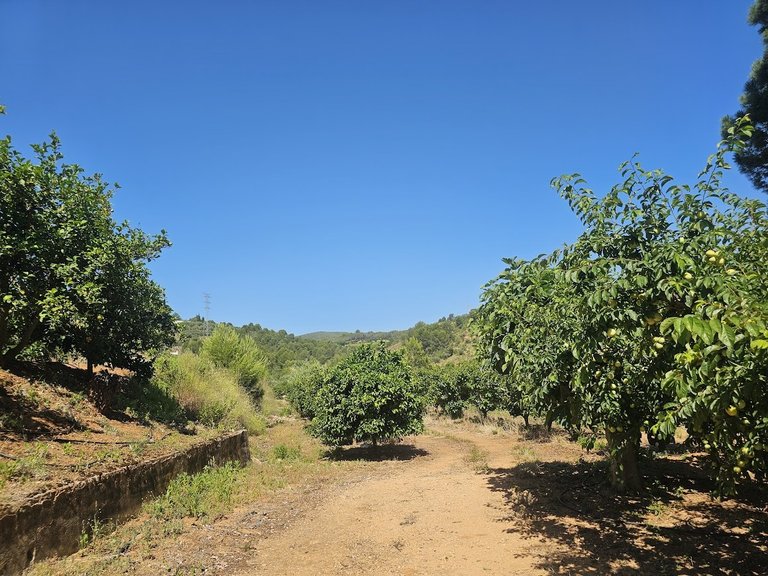 Country House for Sale in Inland, Canals, Valencia 46
