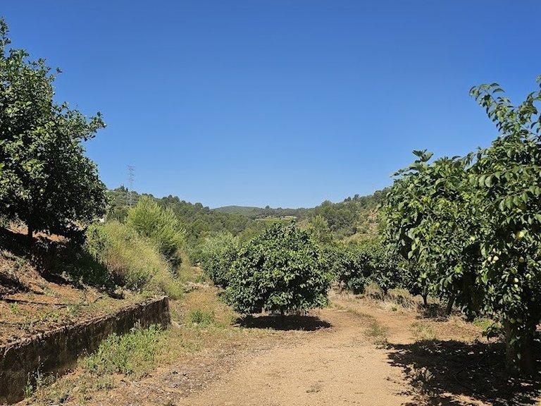 Country House for Sale in Inland, Canals, Valencia 47