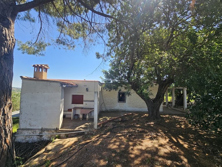 Country House for Sale in Inland, Canals, Valencia 48
