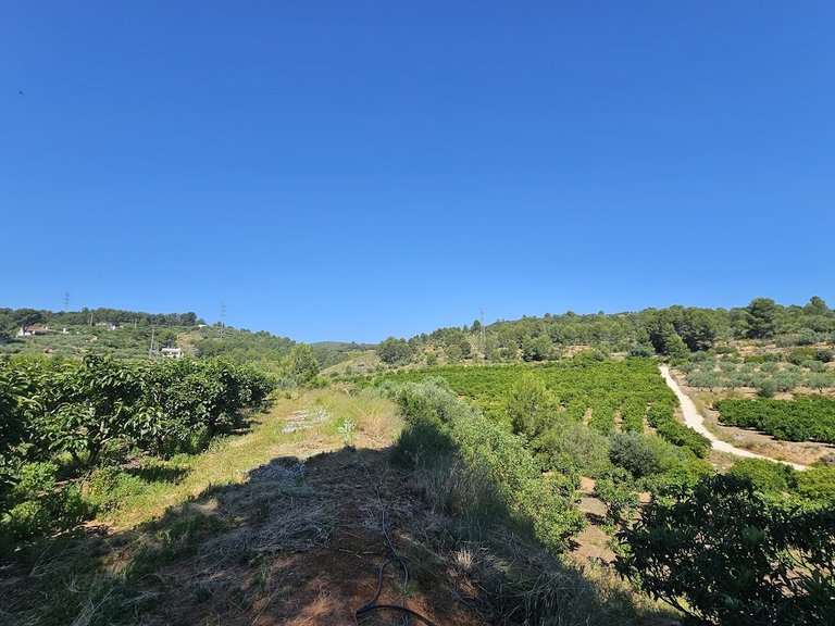 Country House for Sale in Inland, Canals, Valencia 50