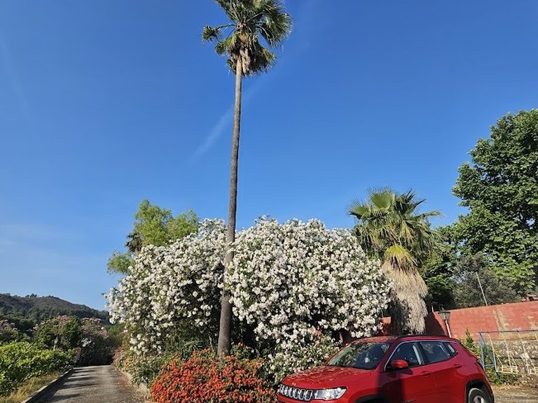 Country House for Sale in Inland, Canals, Valencia 34