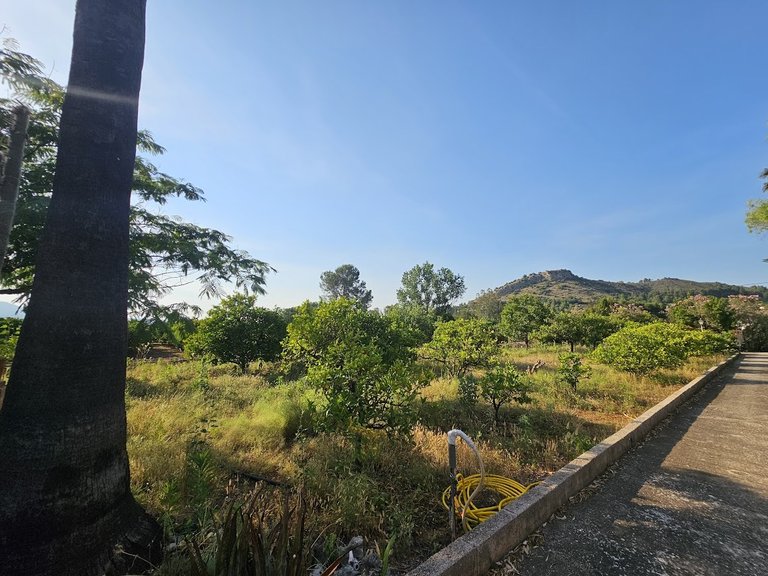 Country House for Sale in Inland, Canals, Valencia 35