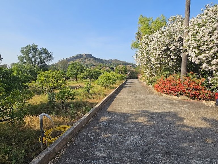 Country House for Sale in Inland, Canals, Valencia 36
