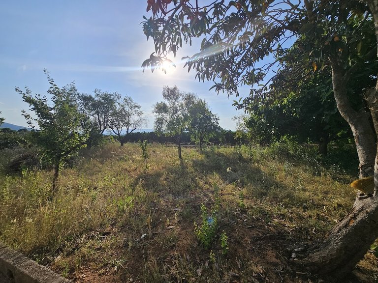 Country House for Sale in Inland, Canals, Valencia 37