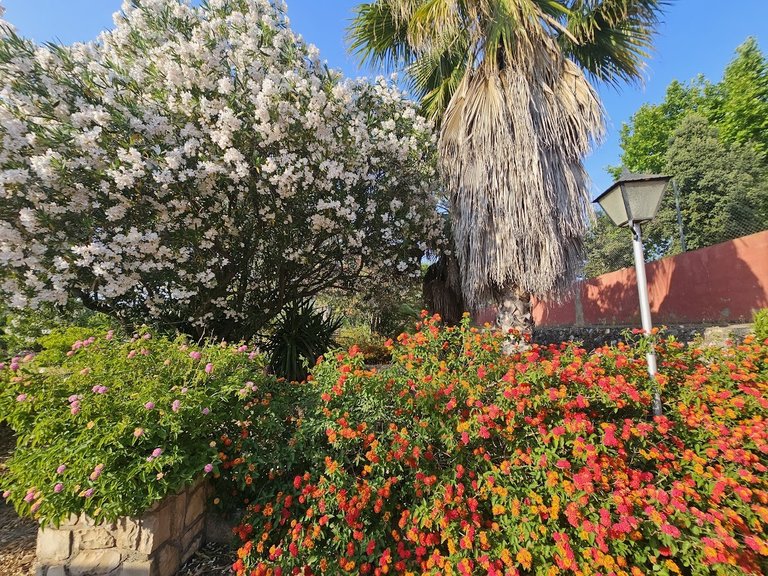Country House for Sale in Inland, Canals, Valencia 3