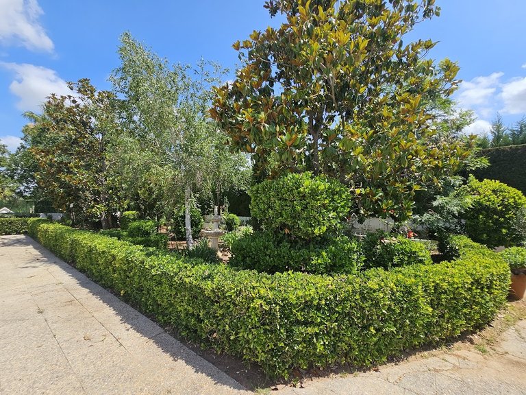 Country House for Sale in Inland, Canals, Valencia 45