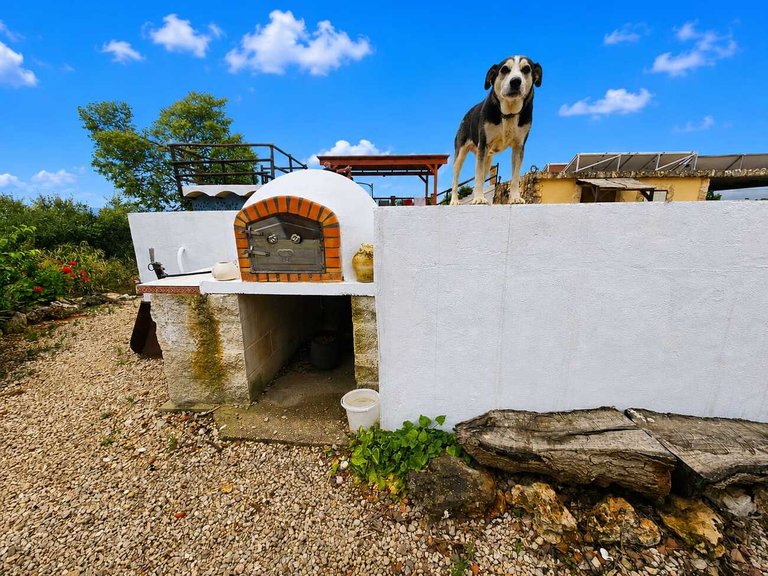 Country House for Sale in Inland, Chella, Valencia 8