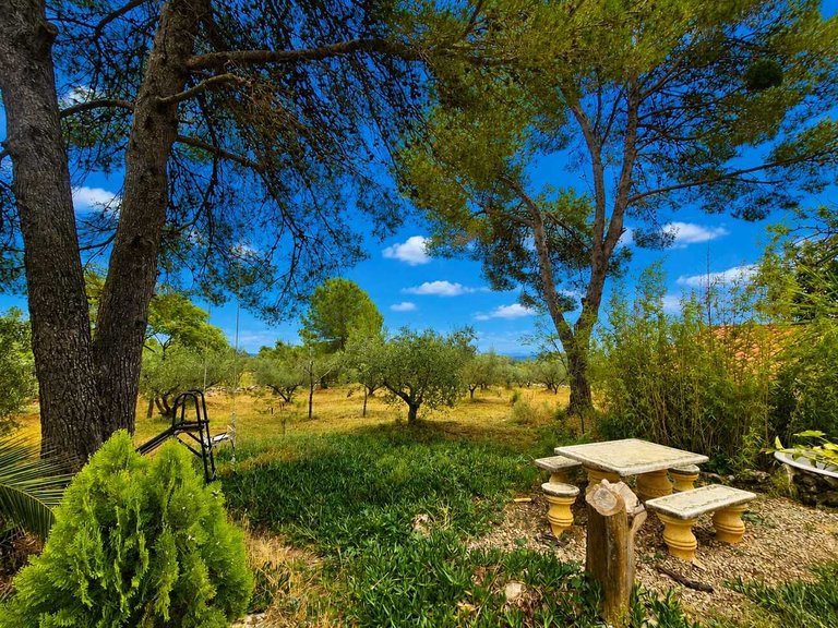 Country House for Sale in Inland, Chella, Valencia 41