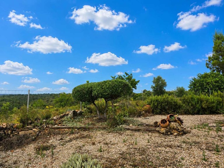 Country House for Sale in Inland, Chella, Valencia 47