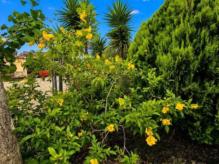Country House for Sale in Inland, Chella, Valencia 50