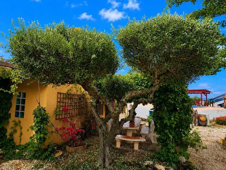 Country House for Sale in Inland, Chella, Valencia 4