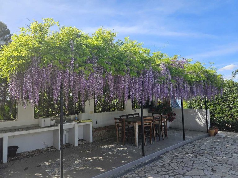 Country House for Sale in Pla de Corrals, Xativa, Valencia 11
