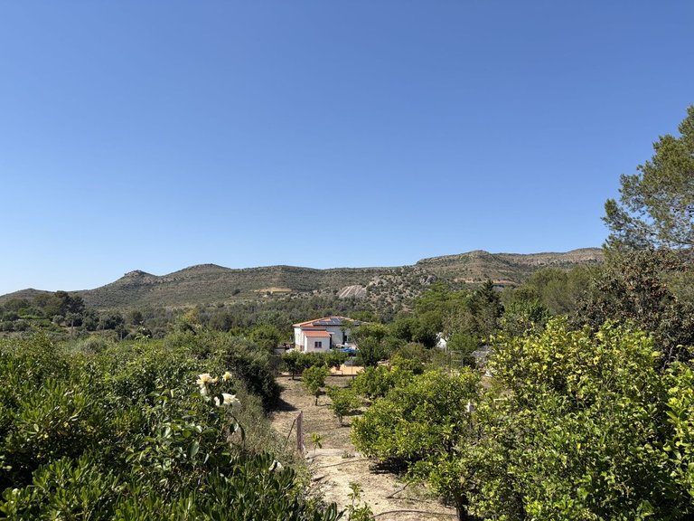 Country House for Sale in Barxeta, Xativa, Valencia 39
