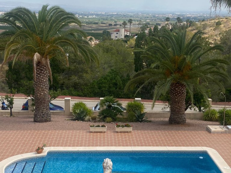 Villa for Sale in Inland Algorfa, Alicante 36
