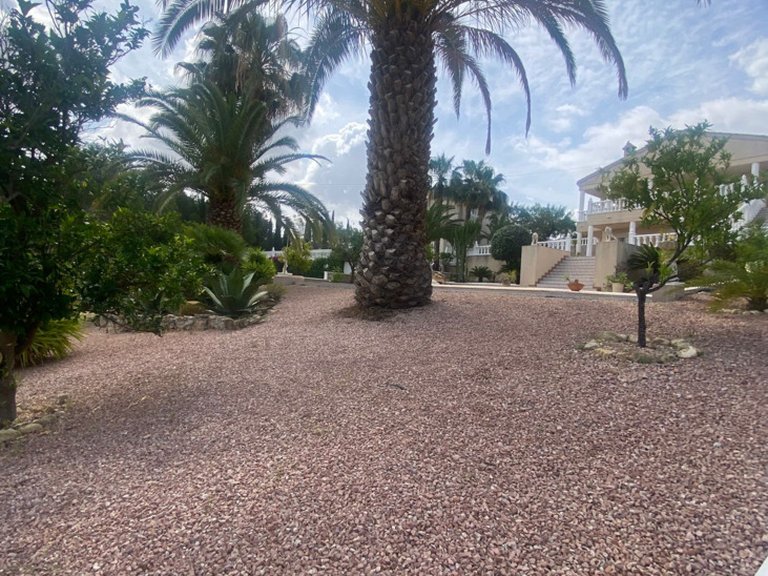Villa for Sale in Inland Algorfa, Alicante 9