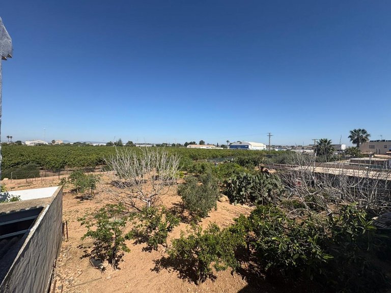 Villa for Sale in Costa Calida San Pedro Del Pinatar, Murcia 13