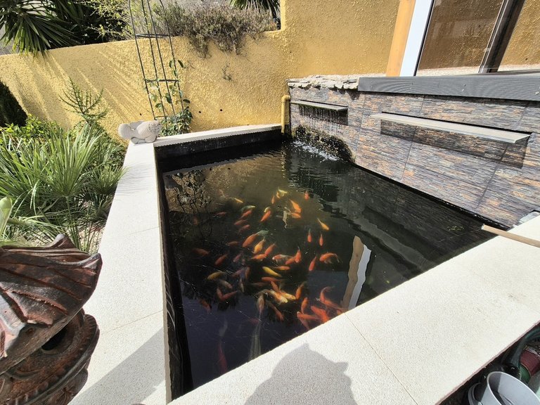 Villa for Sale in Inland San Miguel De Salinas, Alicante 34