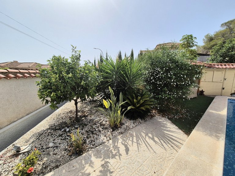 Villa for Sale in Inland San Miguel De Salinas, Alicante 37