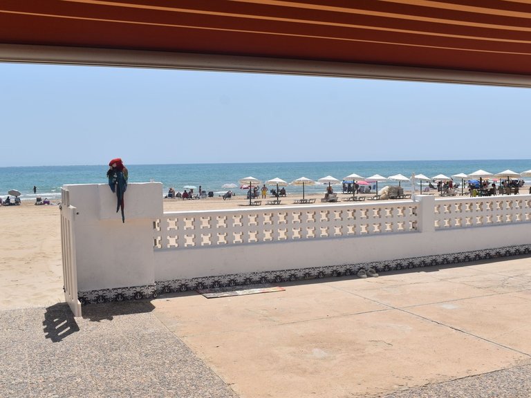 Villa for Sale in Costa Blanca Guardamar Del Segura, Alicante 26