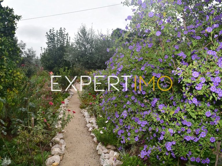 Villa for Sale in Graça, Pedrógão Grande, Portugal 10