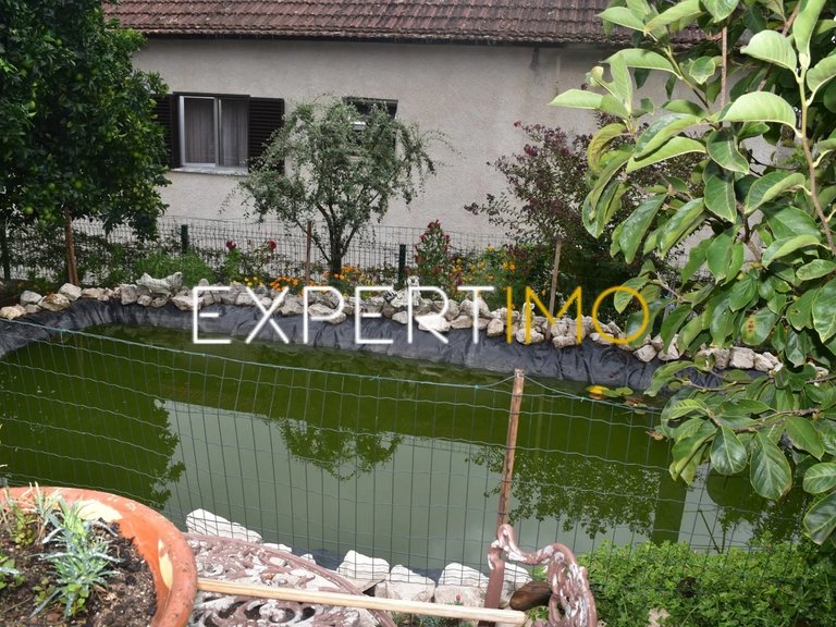 Villa for Sale in Graça, Pedrógão Grande, Portugal 13