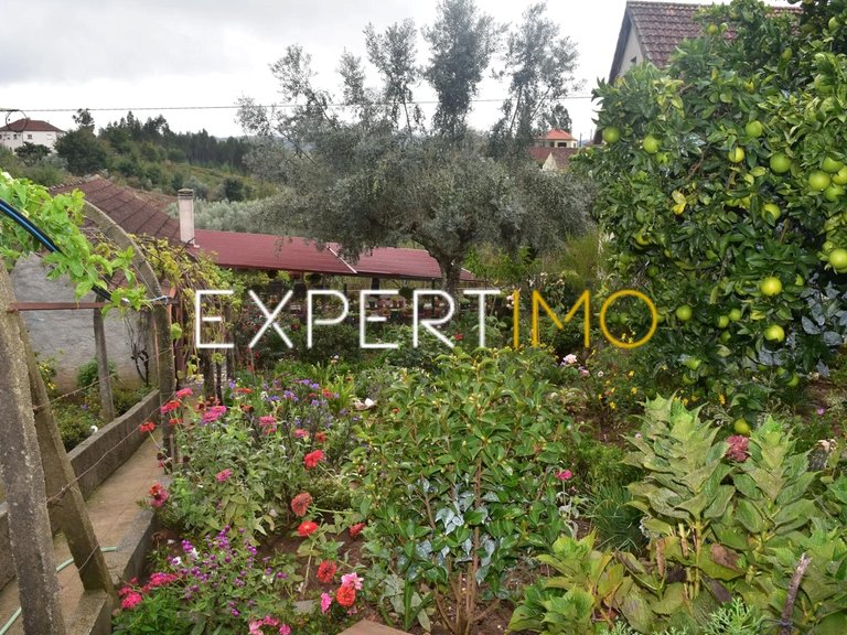 Villa for Sale in Graça, Pedrógão Grande, Portugal 18
