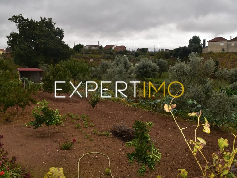 Villa for Sale in Graça, Pedrógão Grande, Portugal 20