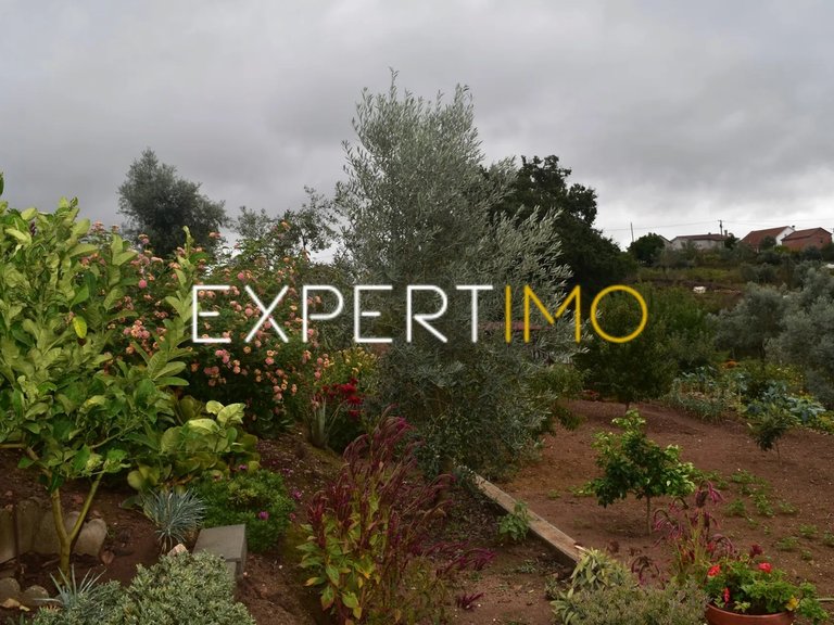 Villa for Sale in Graça, Pedrógão Grande, Portugal 21