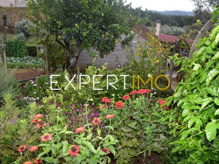 Villa for Sale in Graça, Pedrógão Grande, Portugal 24