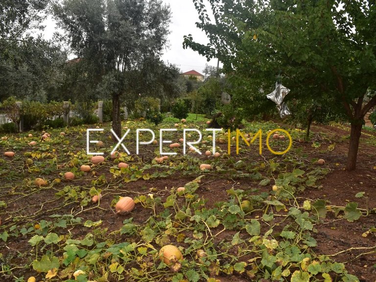 Villa for Sale in Graça, Pedrógão Grande, Portugal 30
