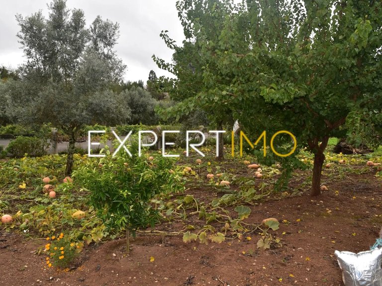 Villa for Sale in Graça, Pedrógão Grande, Portugal 34