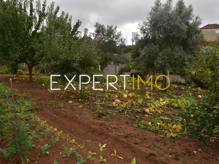 Villa for Sale in Graça, Pedrógão Grande, Portugal 35