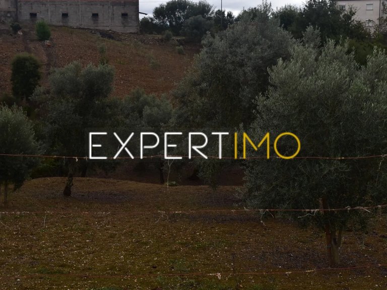 Plot for Sale in Graça, Pedrógão Grande, Portugal 4