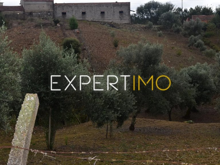 Plot for Sale in Graça, Pedrógão Grande, Portugal 6