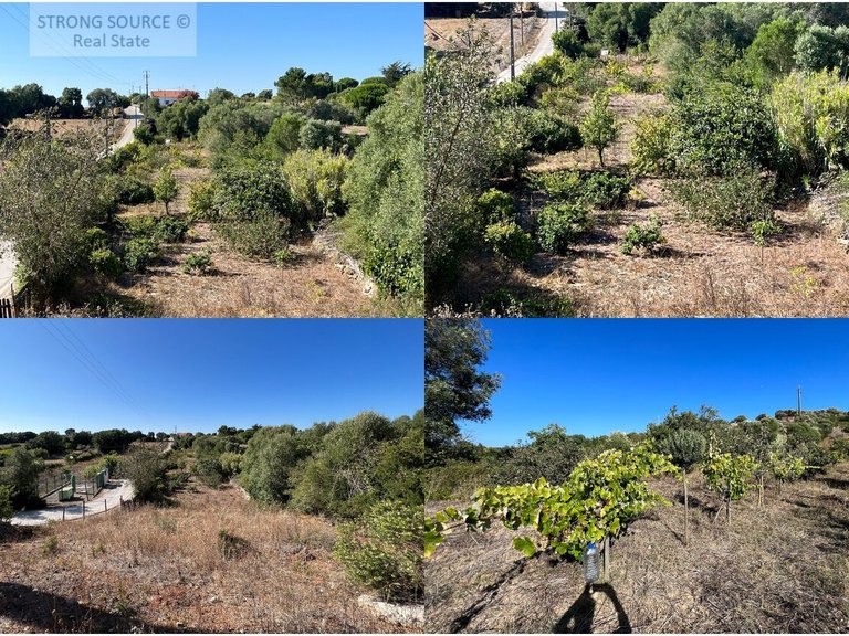 Plot for Sale in Serra da Azoia, Castelo (sesimbra), Sesimbra 1