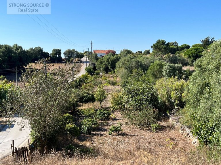 Plot for Sale in Serra da Azoia, Castelo (sesimbra), Sesimbra 3