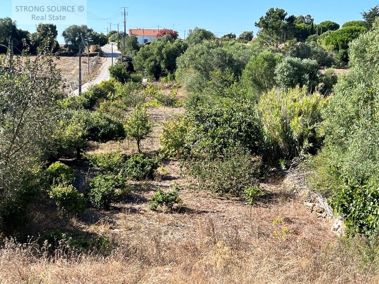 Plot for Sale in Serra da Azoia, Castelo (sesimbra), Sesimbra 4