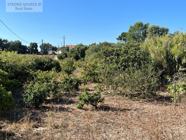 Plot for Sale in Serra da Azoia, Castelo (sesimbra), Sesimbra 5