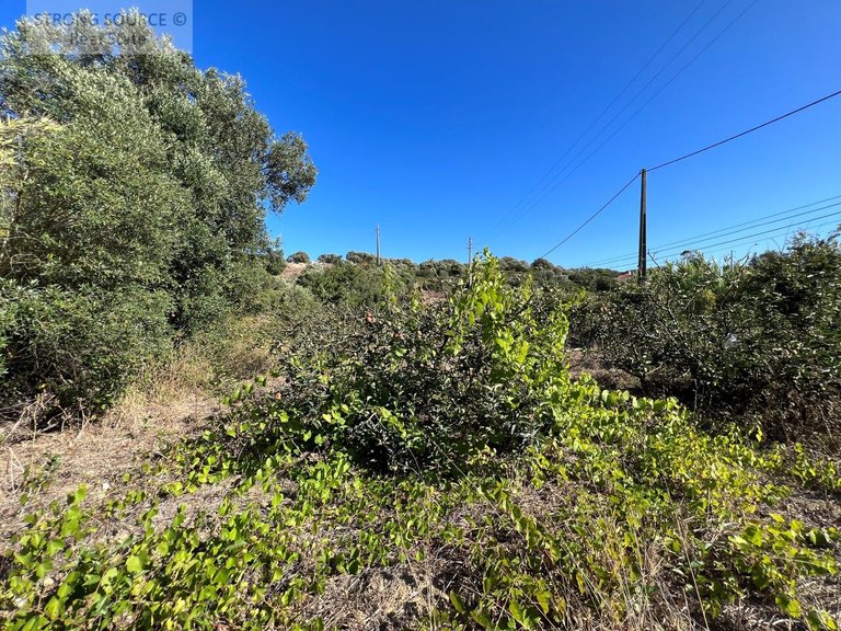 Plot for Sale in Serra da Azoia, Castelo (sesimbra), Sesimbra 7