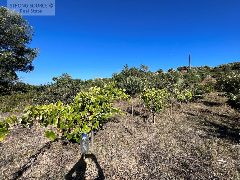Plot for Sale in Serra da Azoia, Castelo (sesimbra), Sesimbra 9
