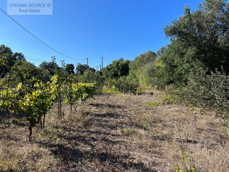 Plot for Sale in Serra da Azoia, Castelo (sesimbra), Sesimbra 10