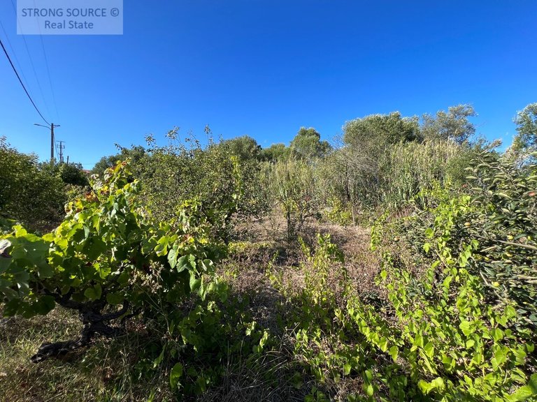Plot for Sale in Serra da Azoia, Castelo (sesimbra), Sesimbra 11