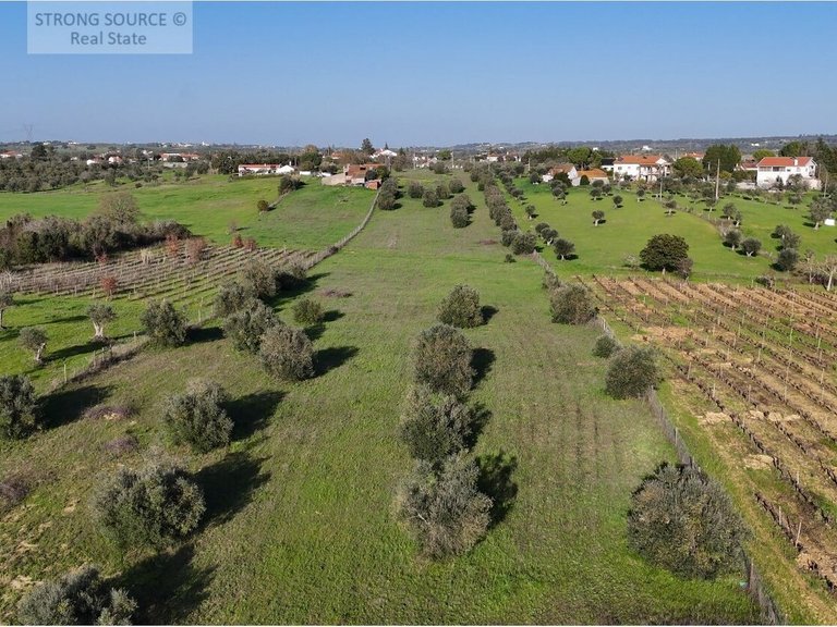 Country House for Sale in São Vicente Do Paul, Santarém 21