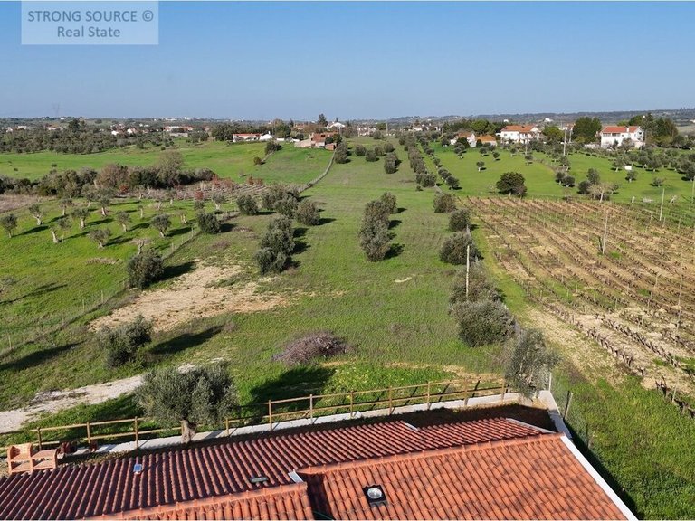 Country House for Sale in São Vicente Do Paul, Santarém 22