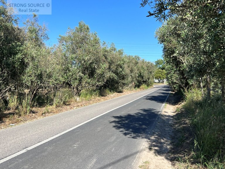 Villa for Sale in Padeiras, São Sebastião, Setúbal 12