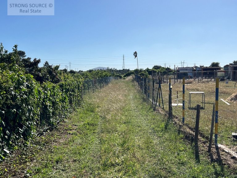 Villa for Sale in Padeiras, São Sebastião, Setúbal 15