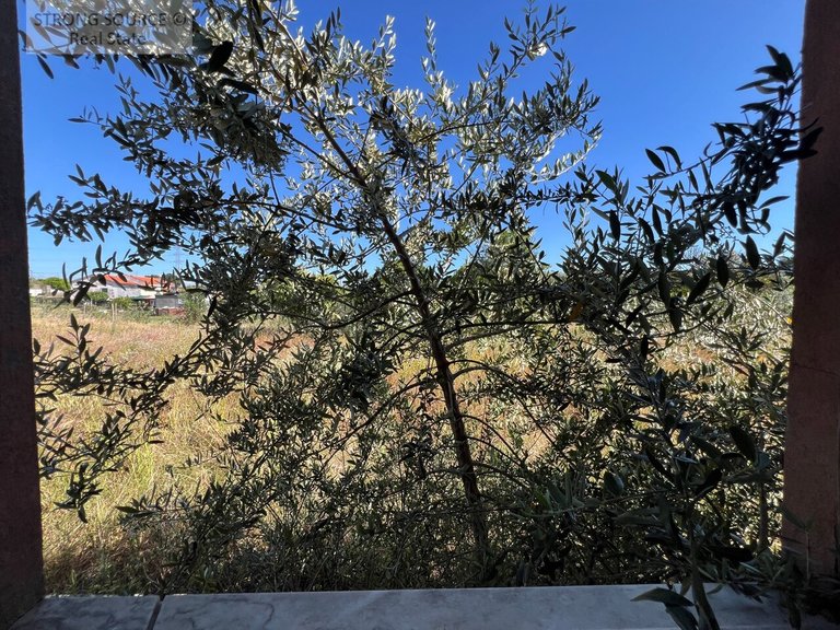 Villa for Sale in Padeiras, São Sebastião, Setúbal 27