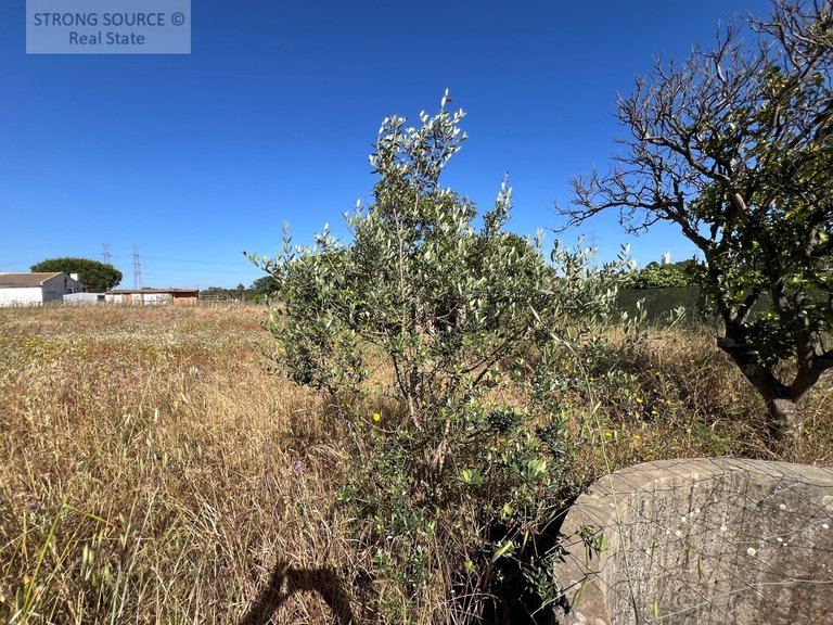 Villa for Sale in Padeiras, São Sebastião, Setúbal 36